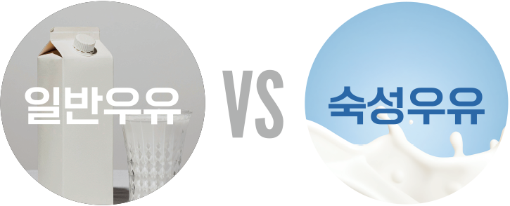 일반우유 대 숙성우유
